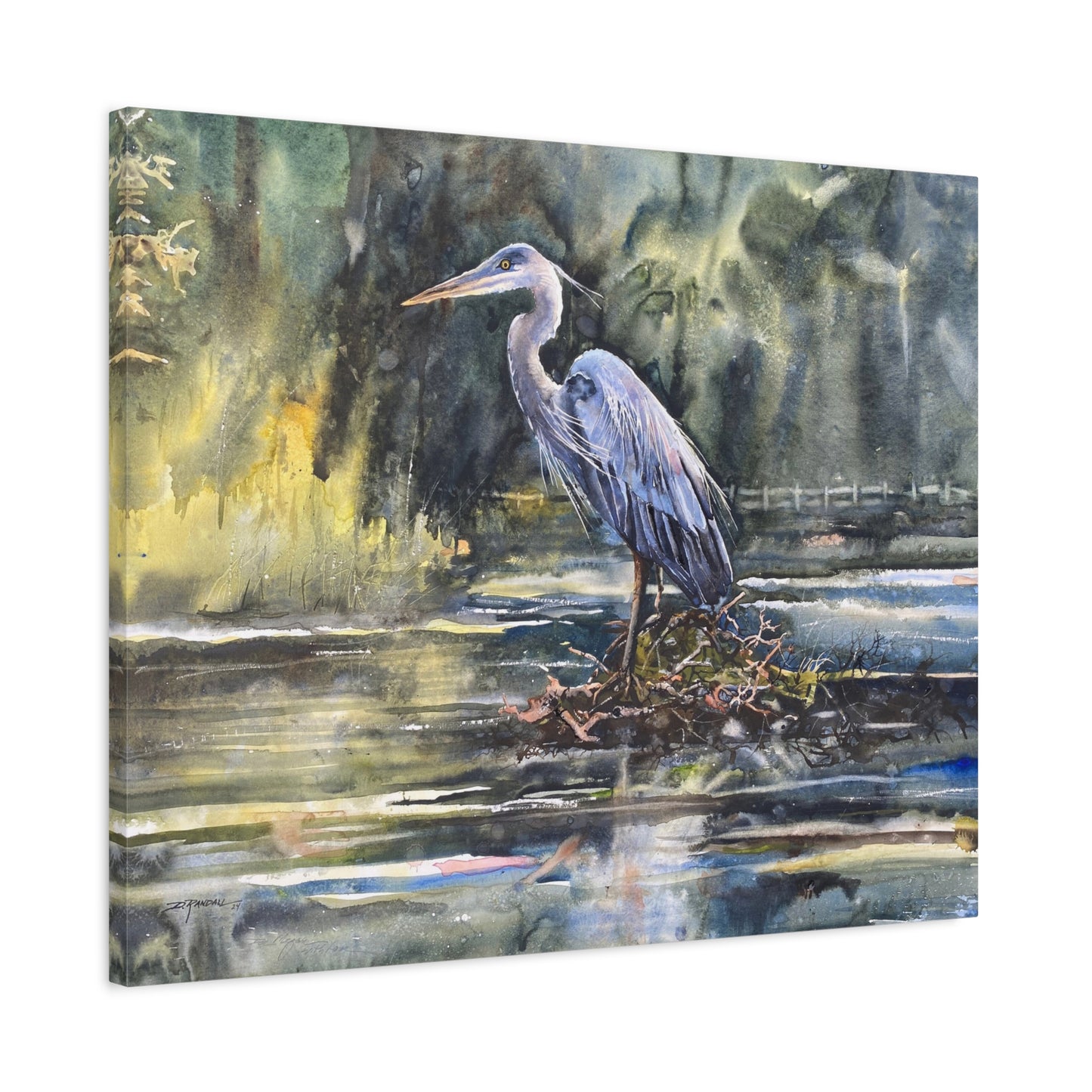 "GEORGE" Great Blue Heron