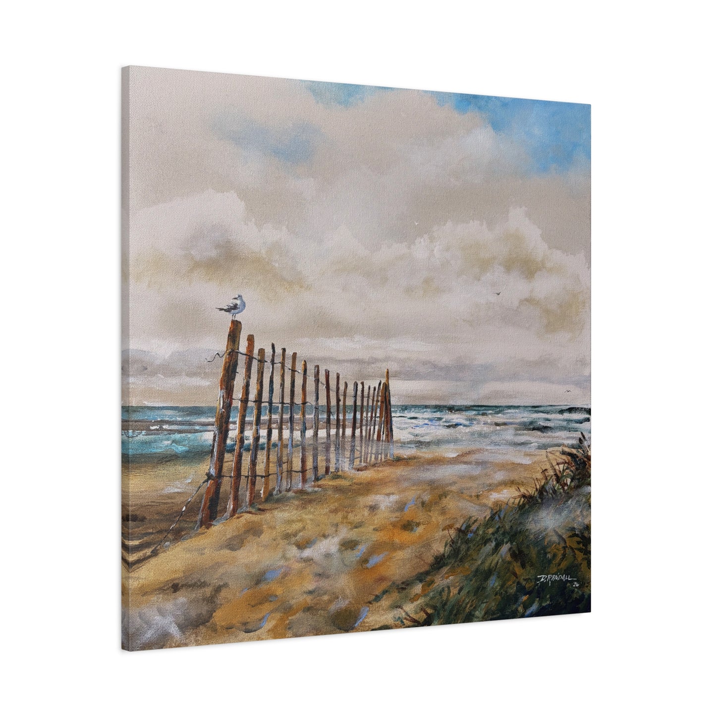 "After The Rain" Outer Banks