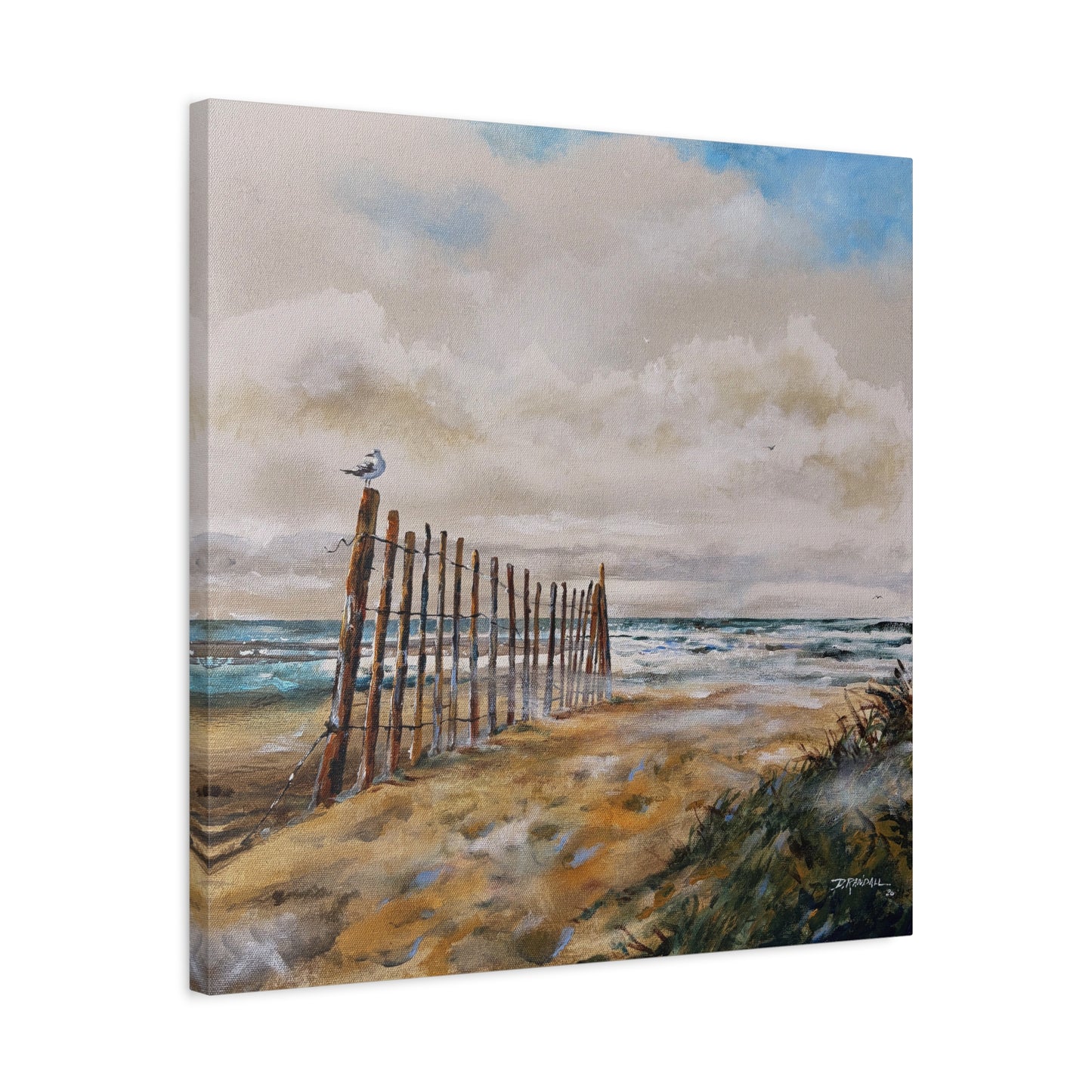 "After The Rain" Outer Banks