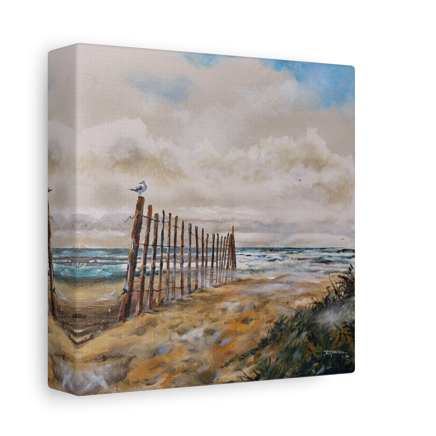 "After The Rain" Outer Banks