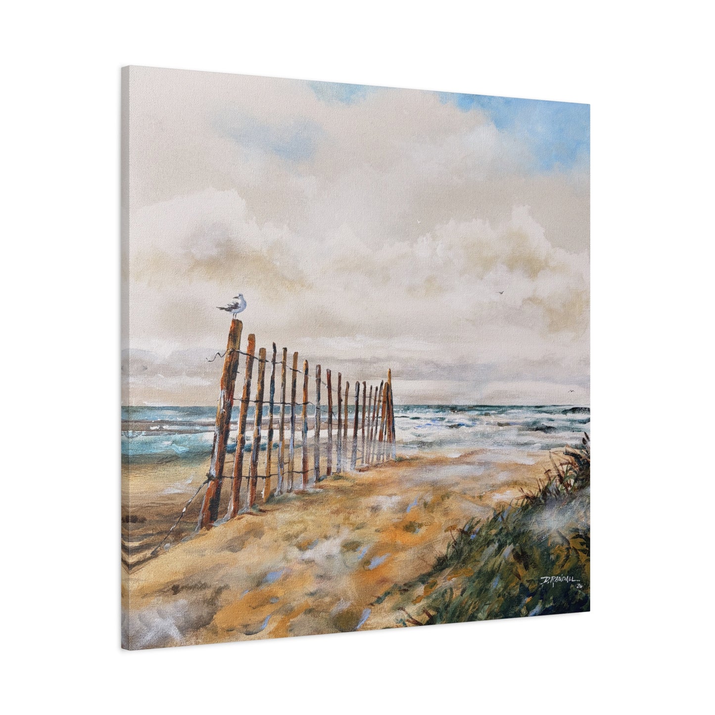 "After The Rain" Outer Banks