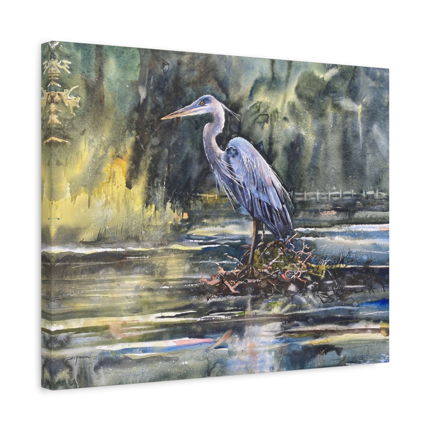 "GEORGE" Great Blue Heron