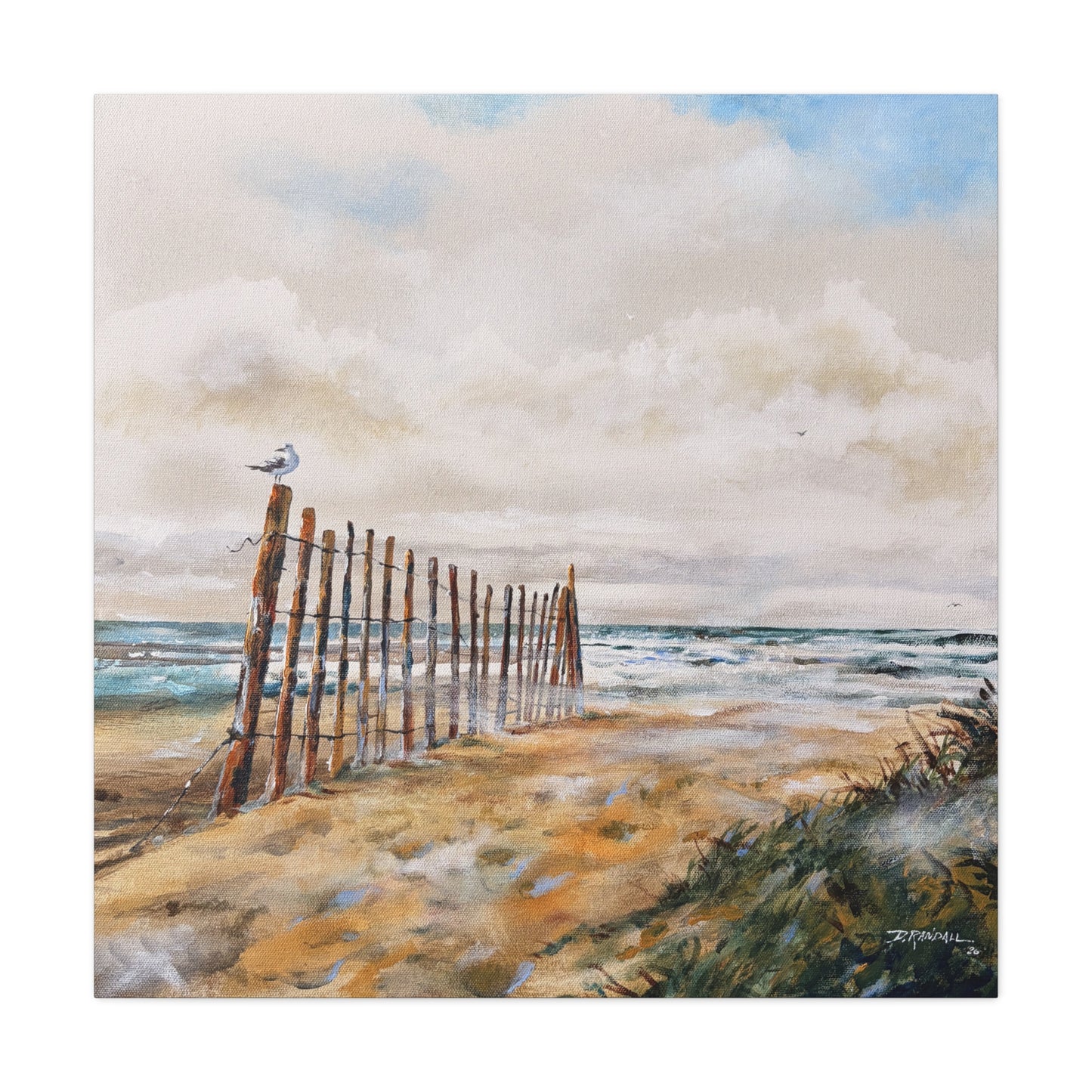 "After The Rain" Outer Banks