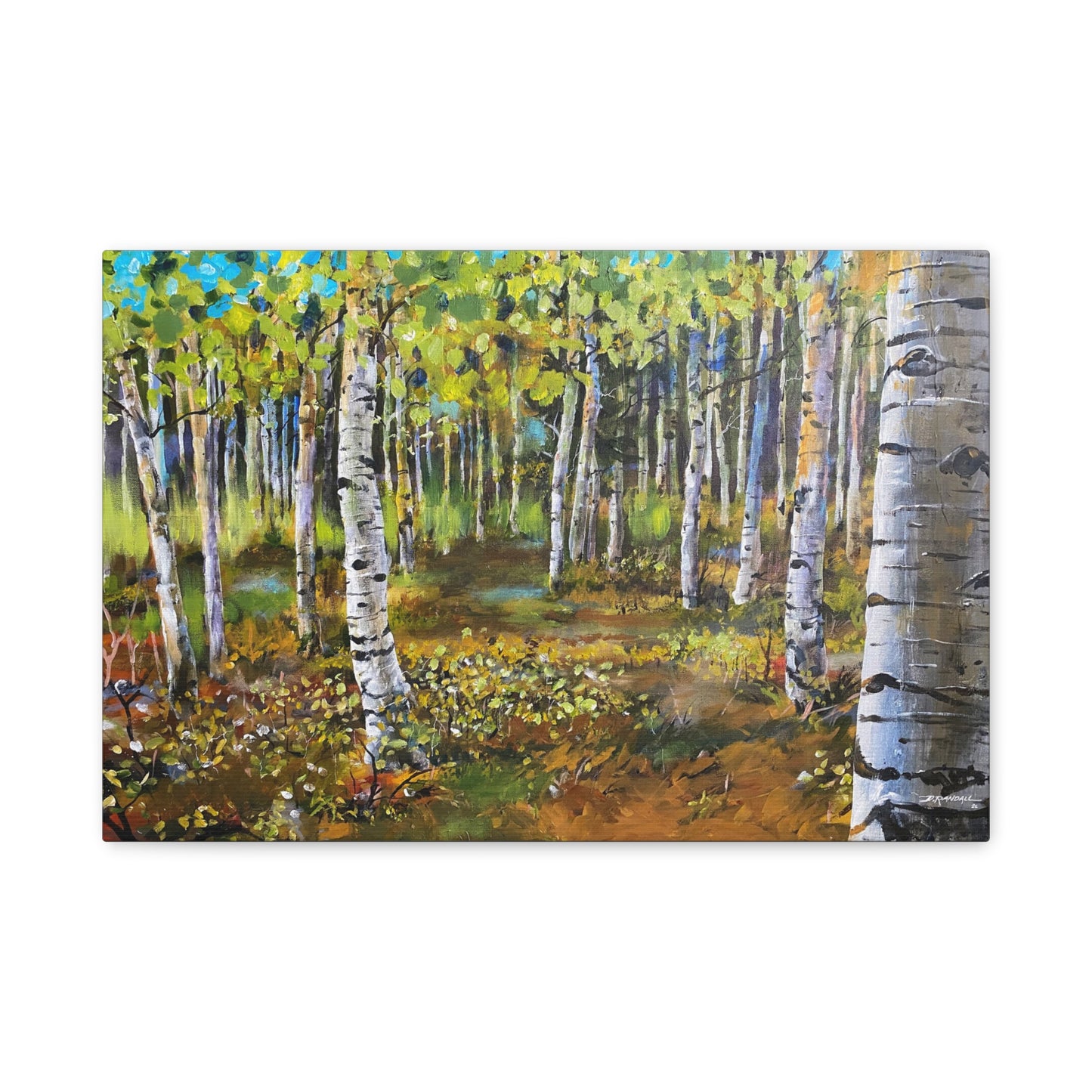 ASPEN GROVE