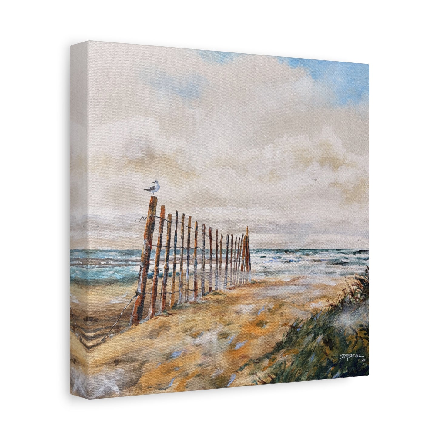 "After The Rain" Outer Banks