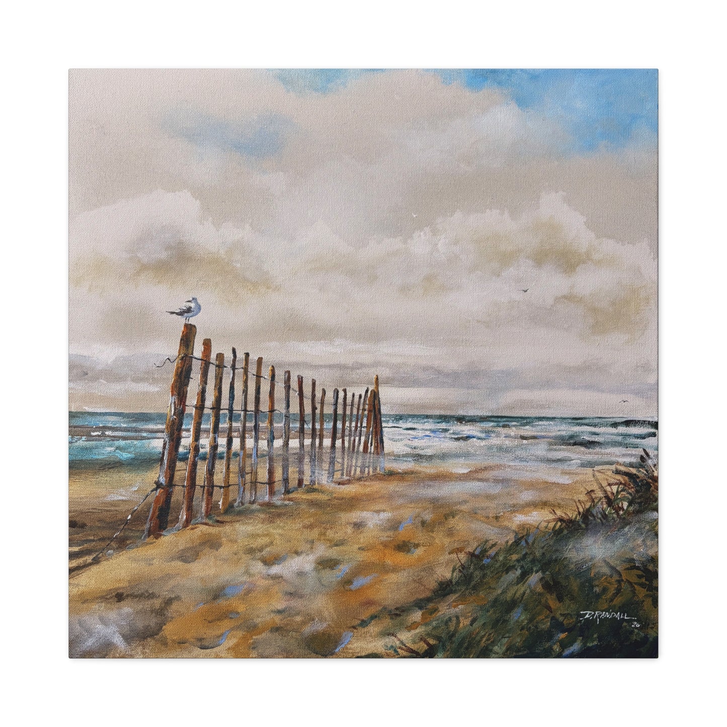 "After The Rain" Outer Banks