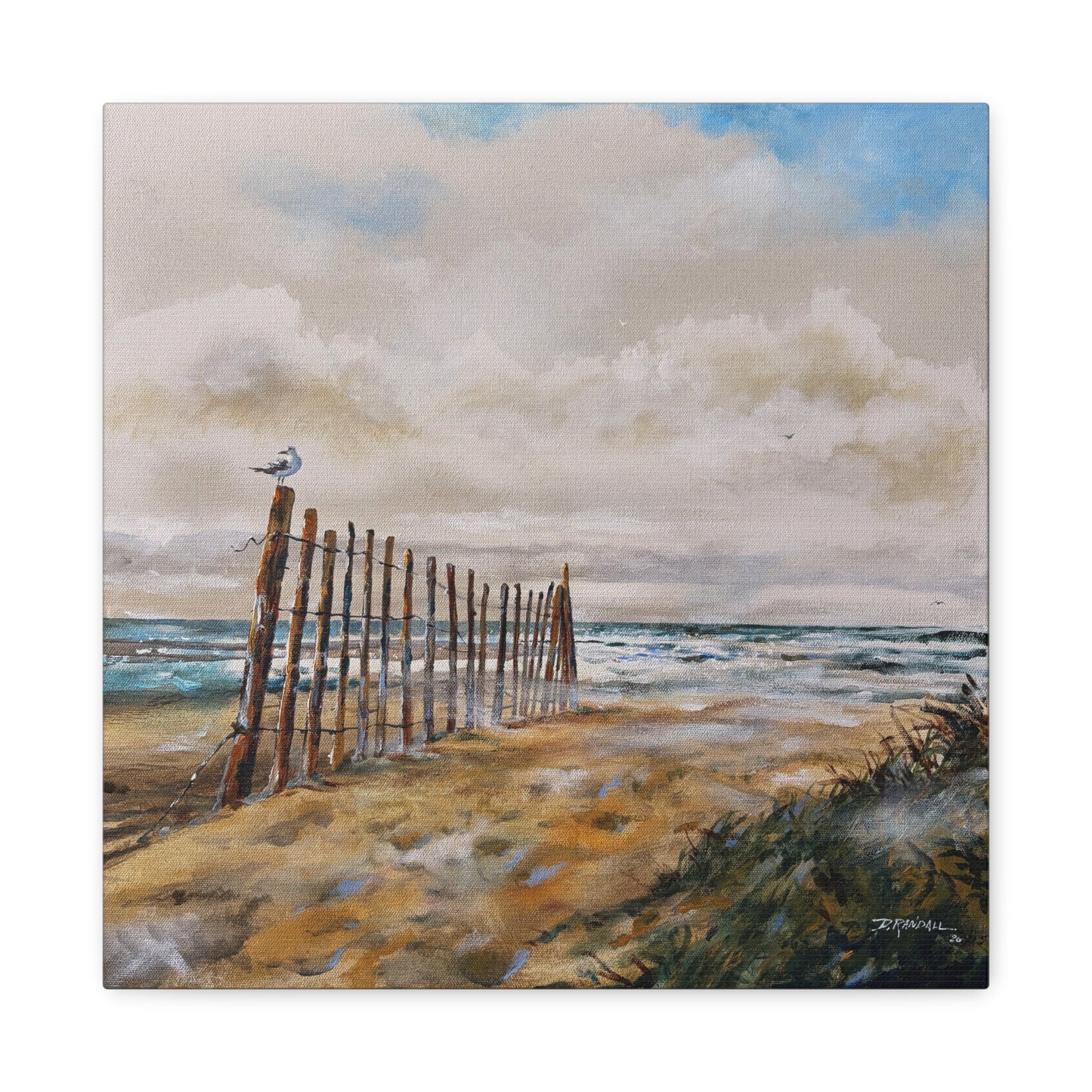 "After The Rain" Outer Banks