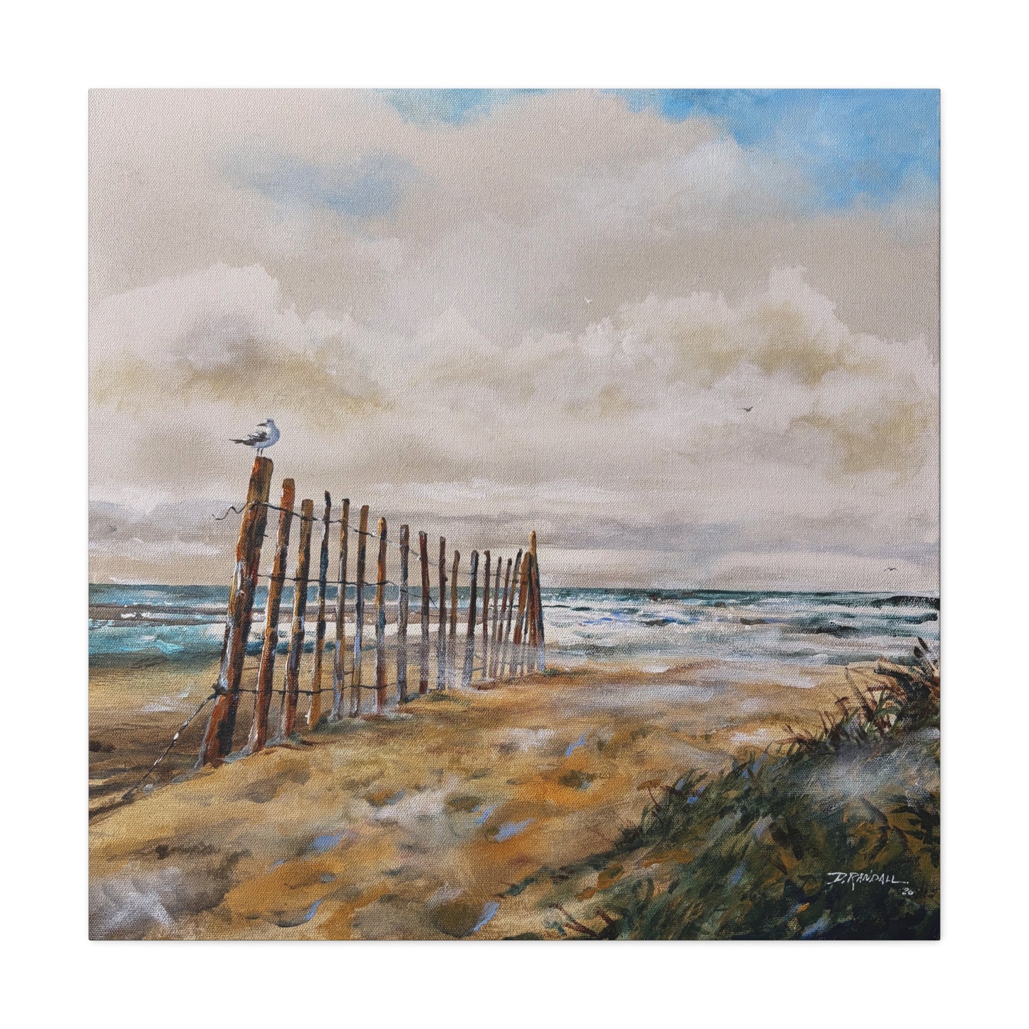 "After The Rain" Outer Banks