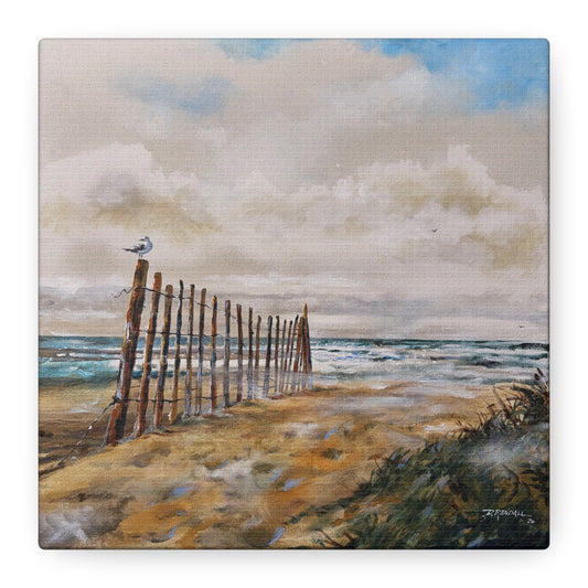 "After The Rain" Outer Banks