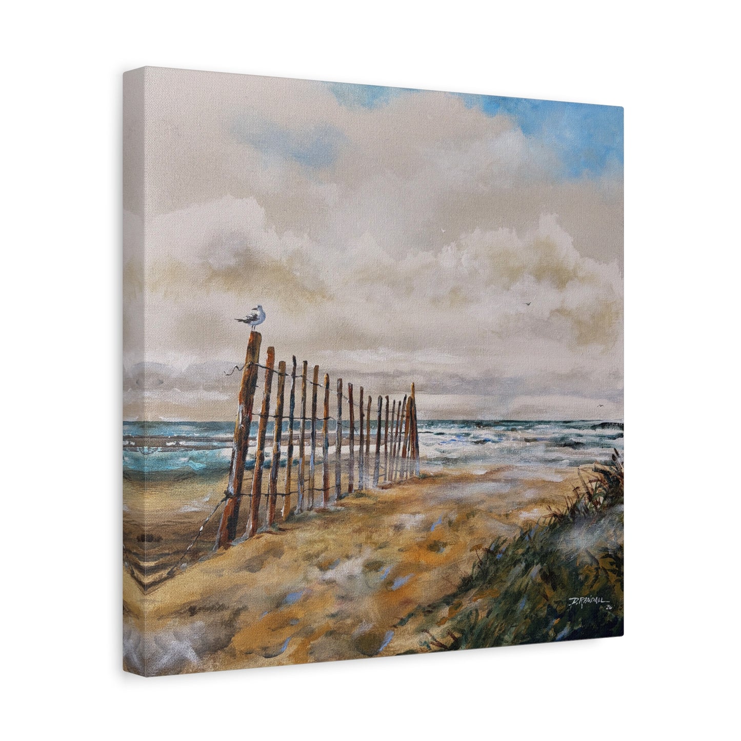 "After The Rain" Outer Banks