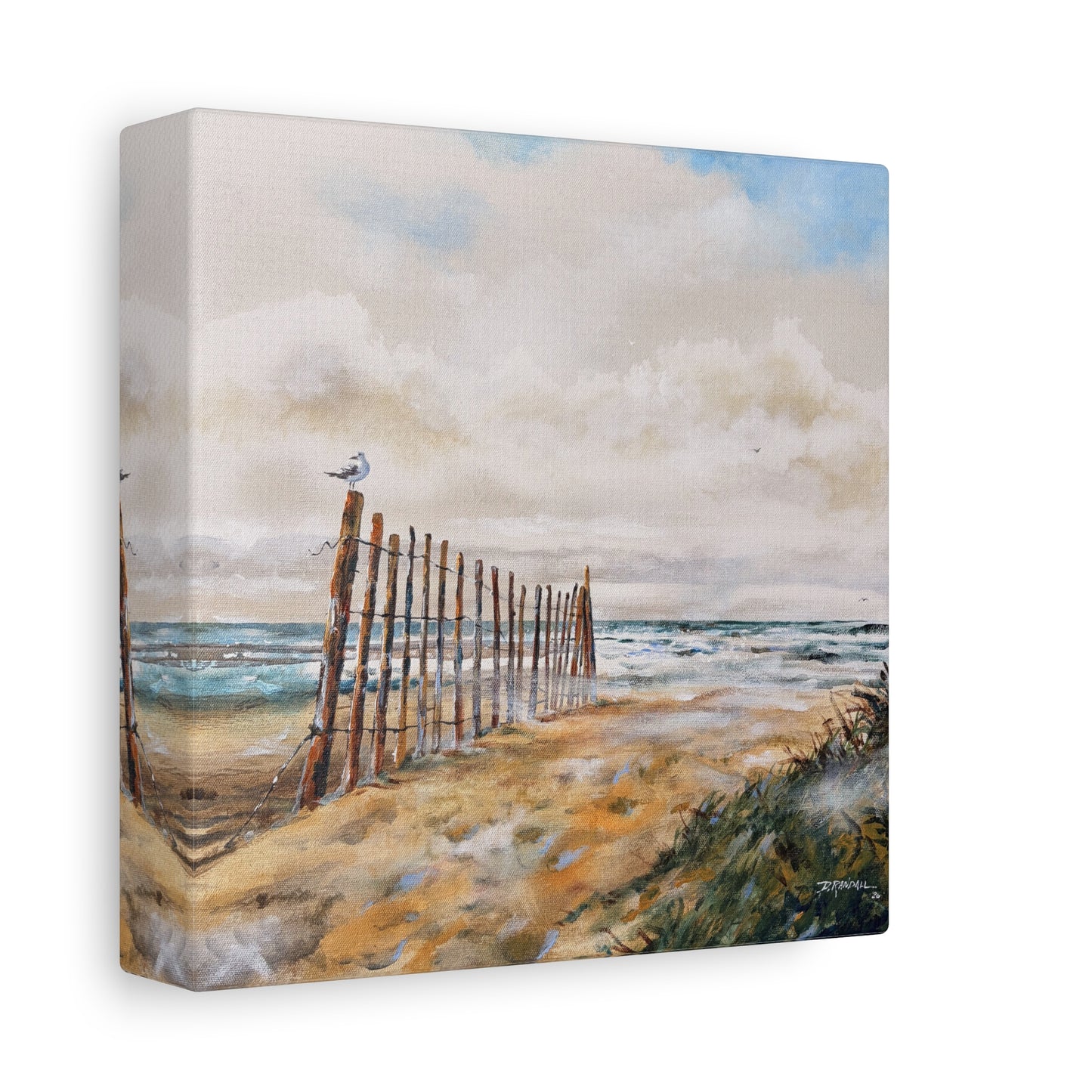 "After The Rain" Outer Banks