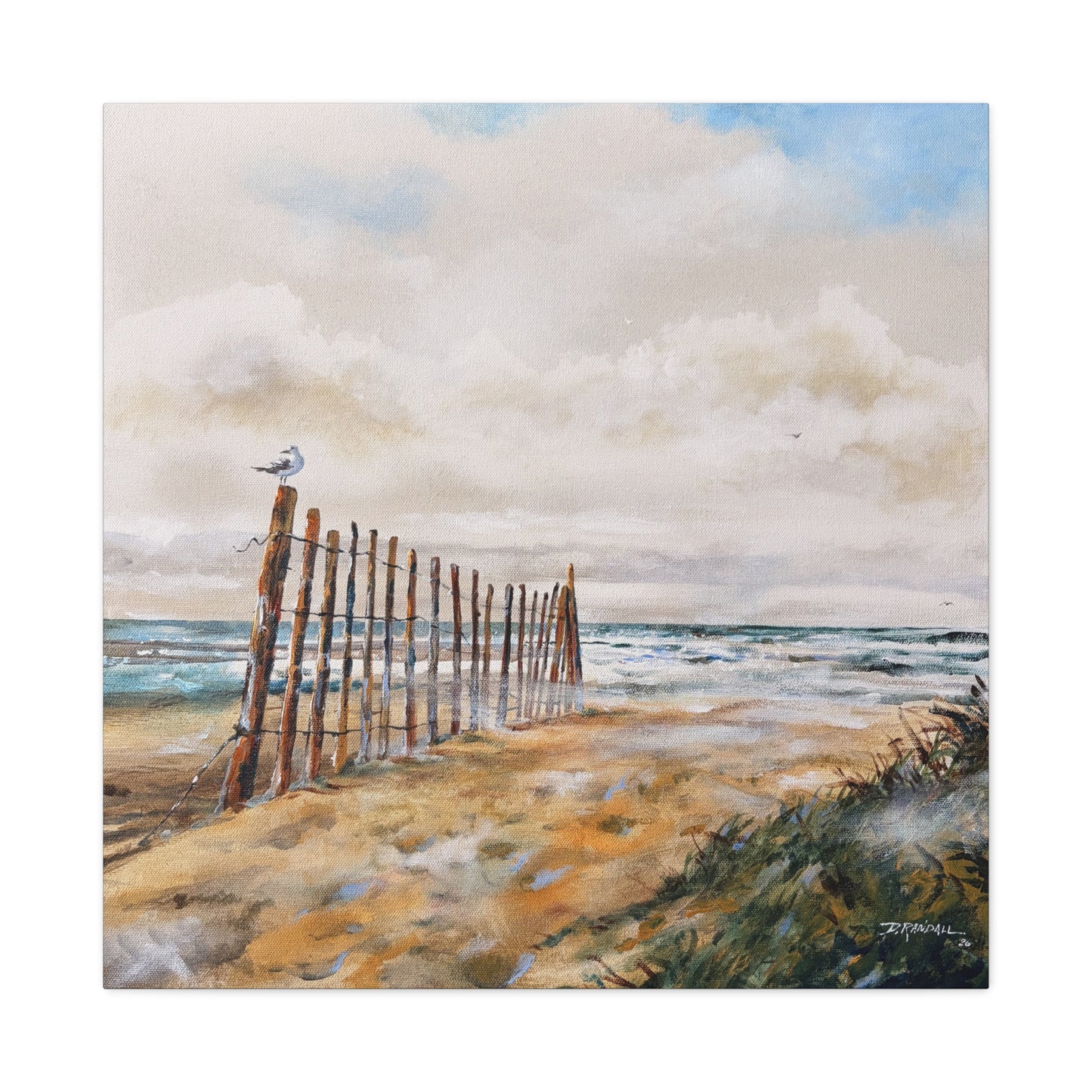 "After The Rain" Outer Banks