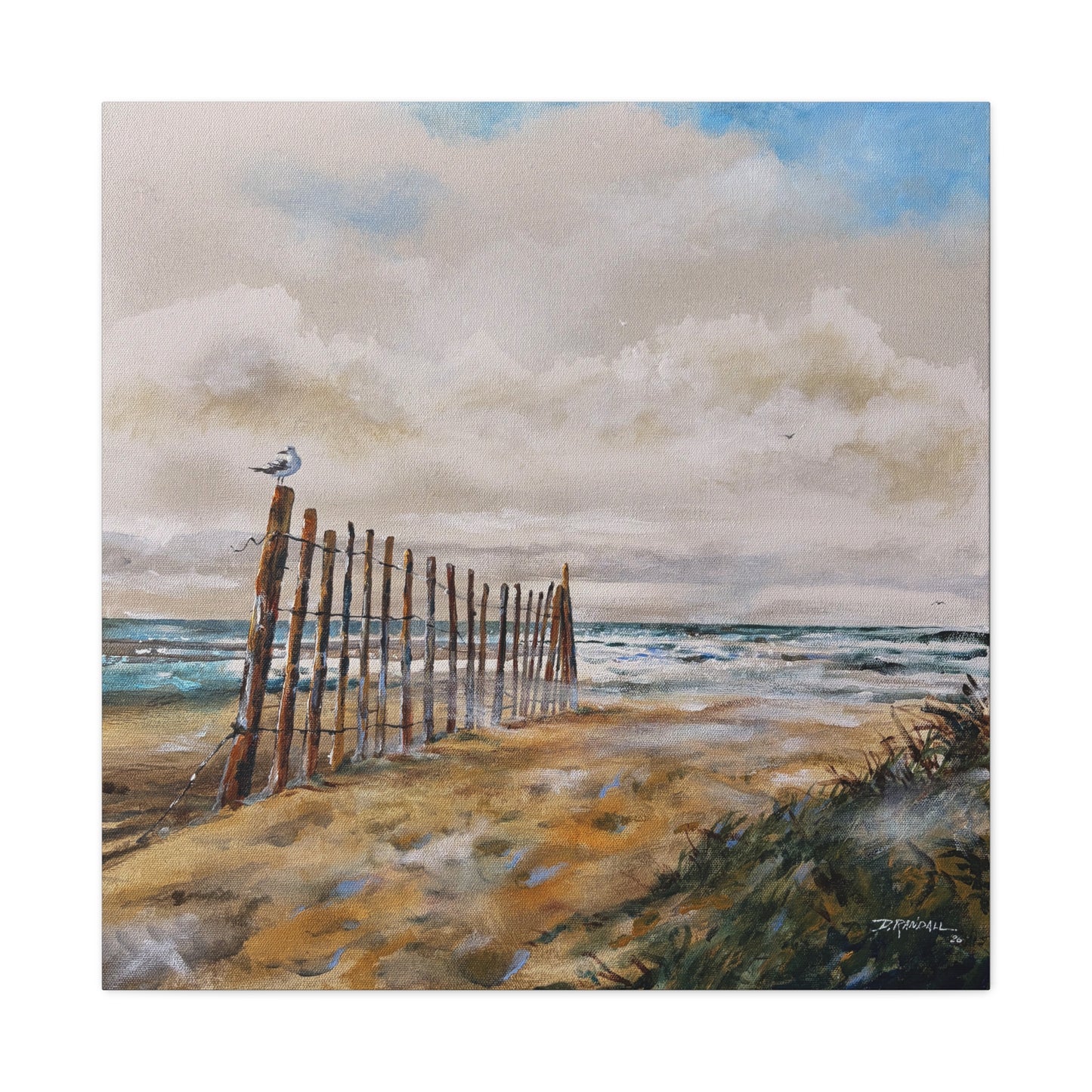 "After The Rain" Outer Banks