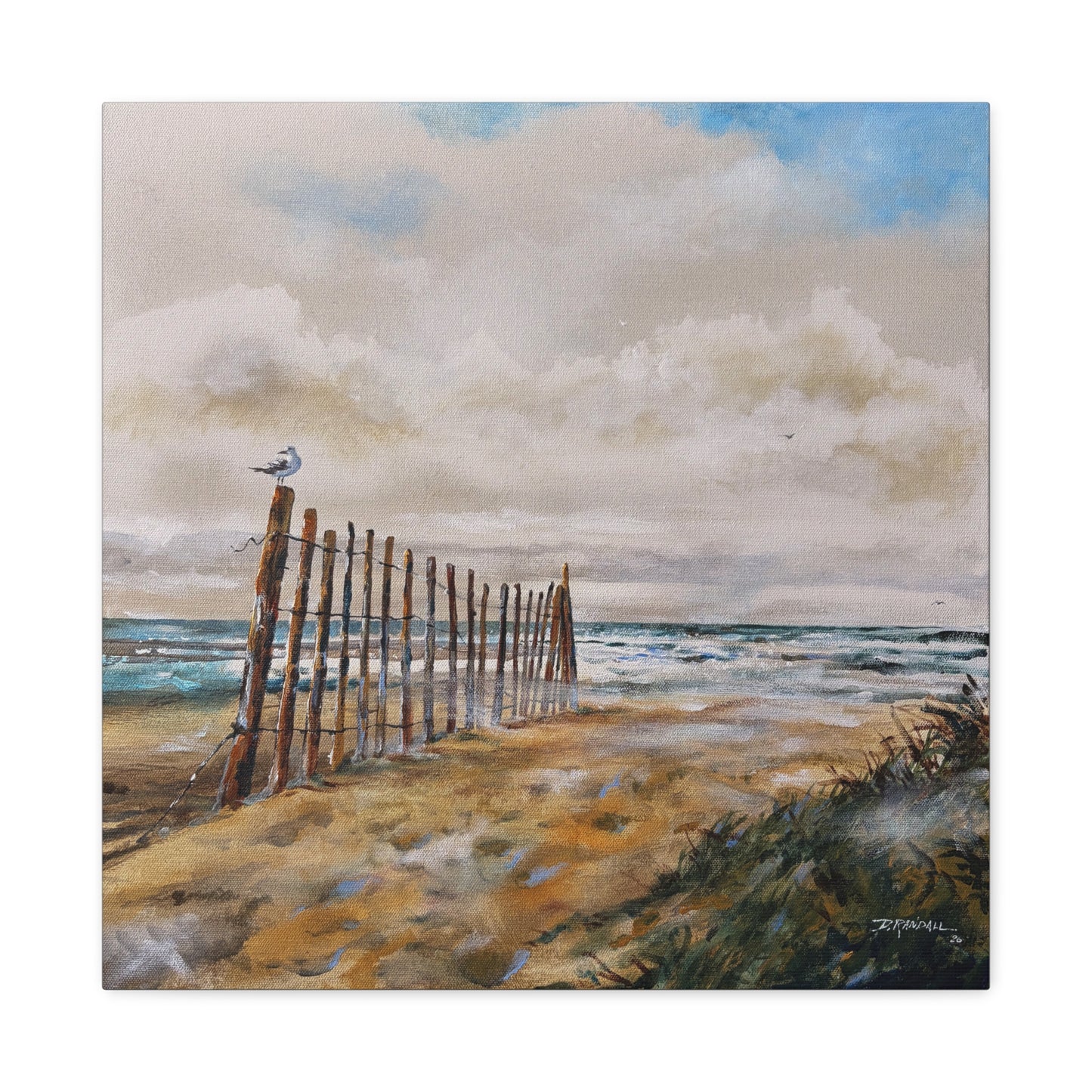 "After The Rain" Outer Banks