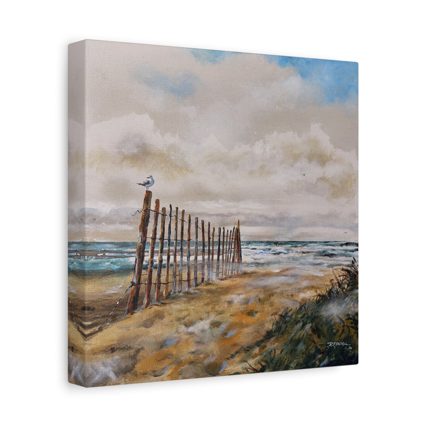 "After The Rain" Outer Banks