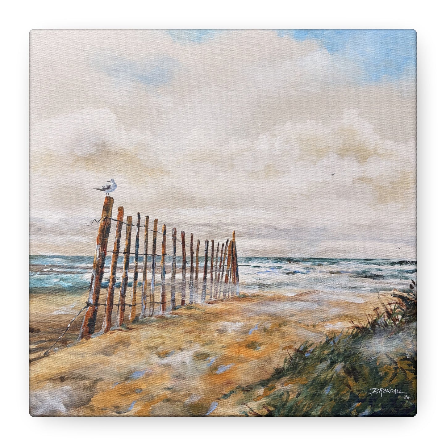 "After The Rain" Outer Banks