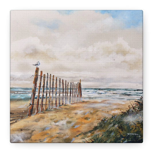 "After The Rain" Outer Banks