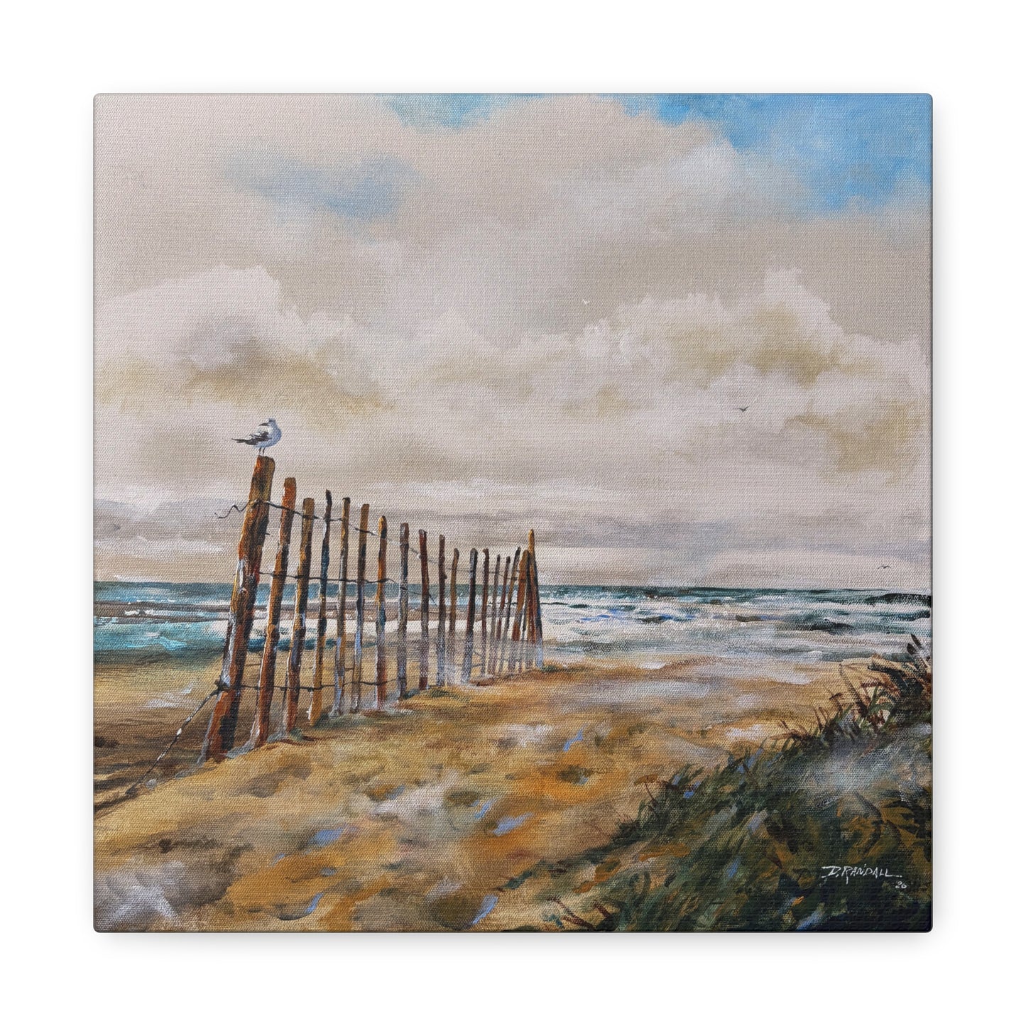 "After The Rain" Outer Banks