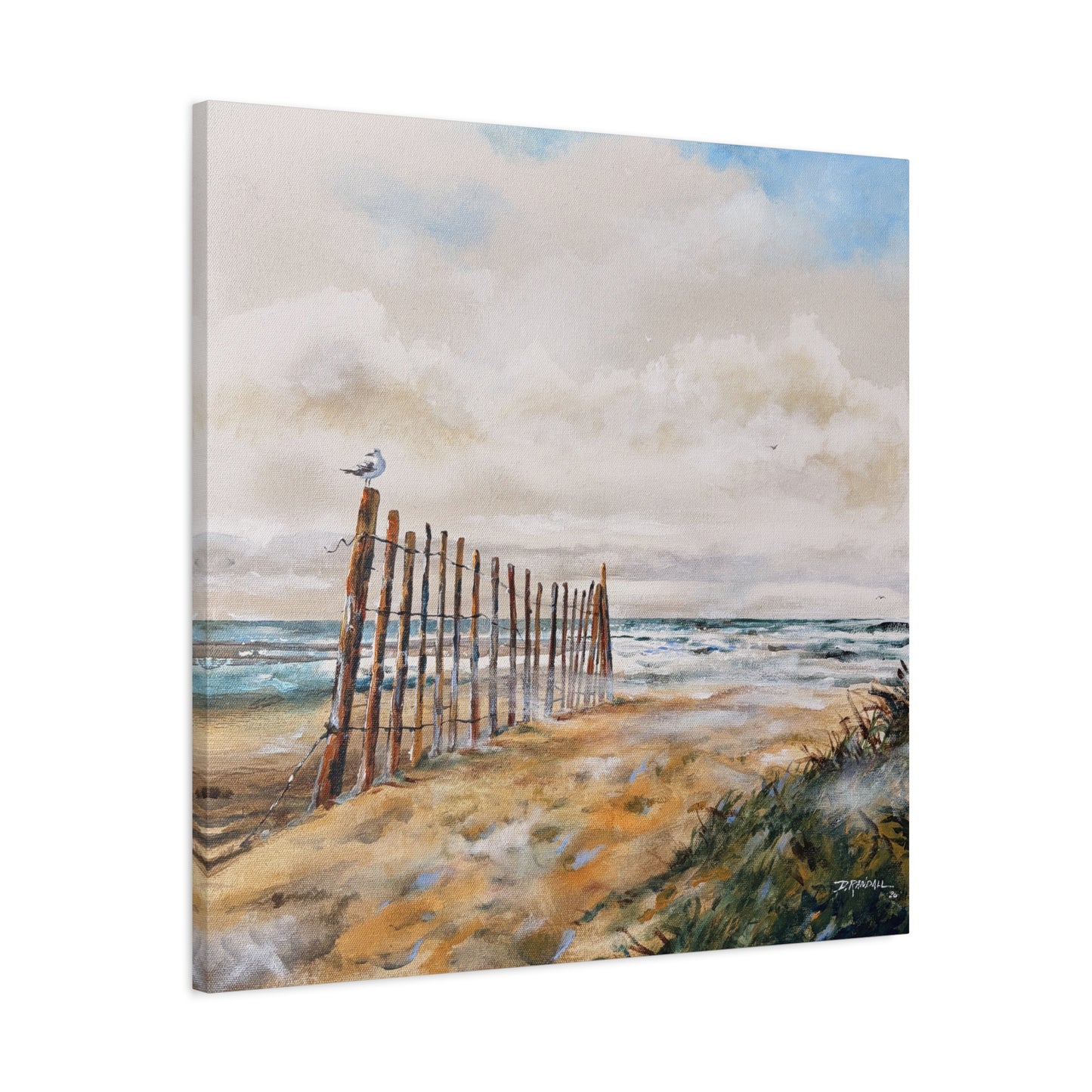 "After The Rain" Outer Banks