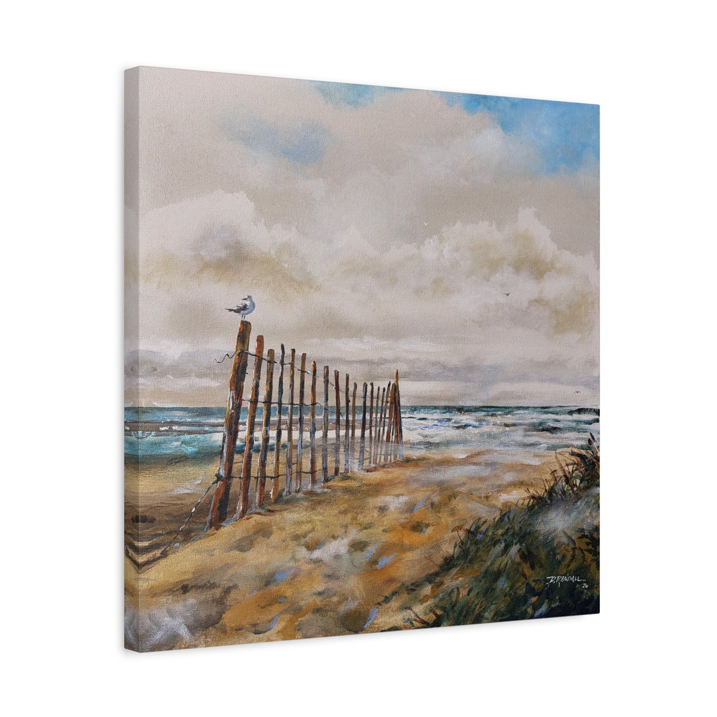 "After The Rain" Outer Banks