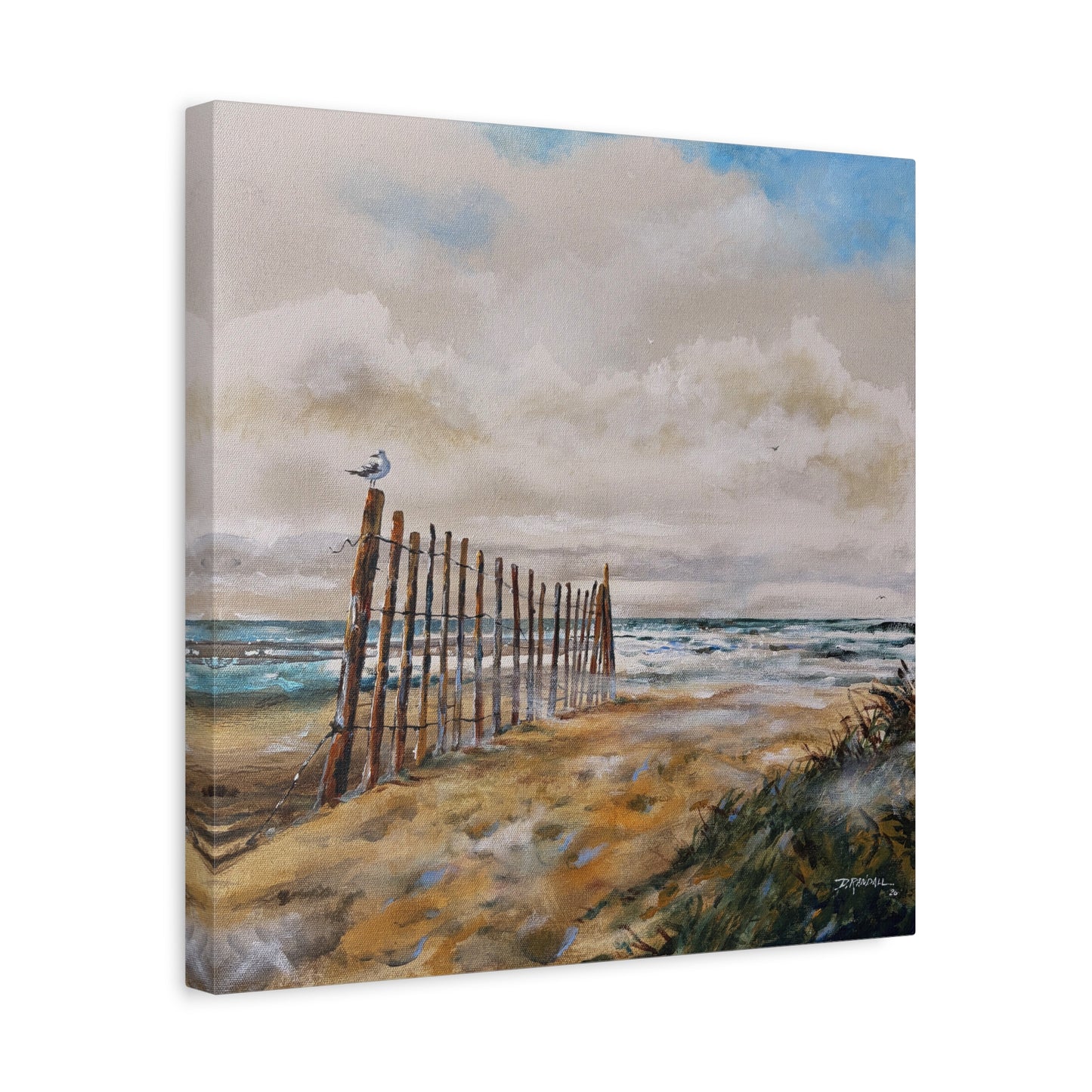 "After The Rain" Outer Banks