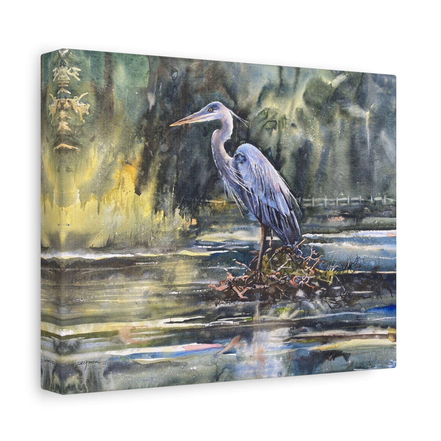 "GEORGE" Great Blue Heron