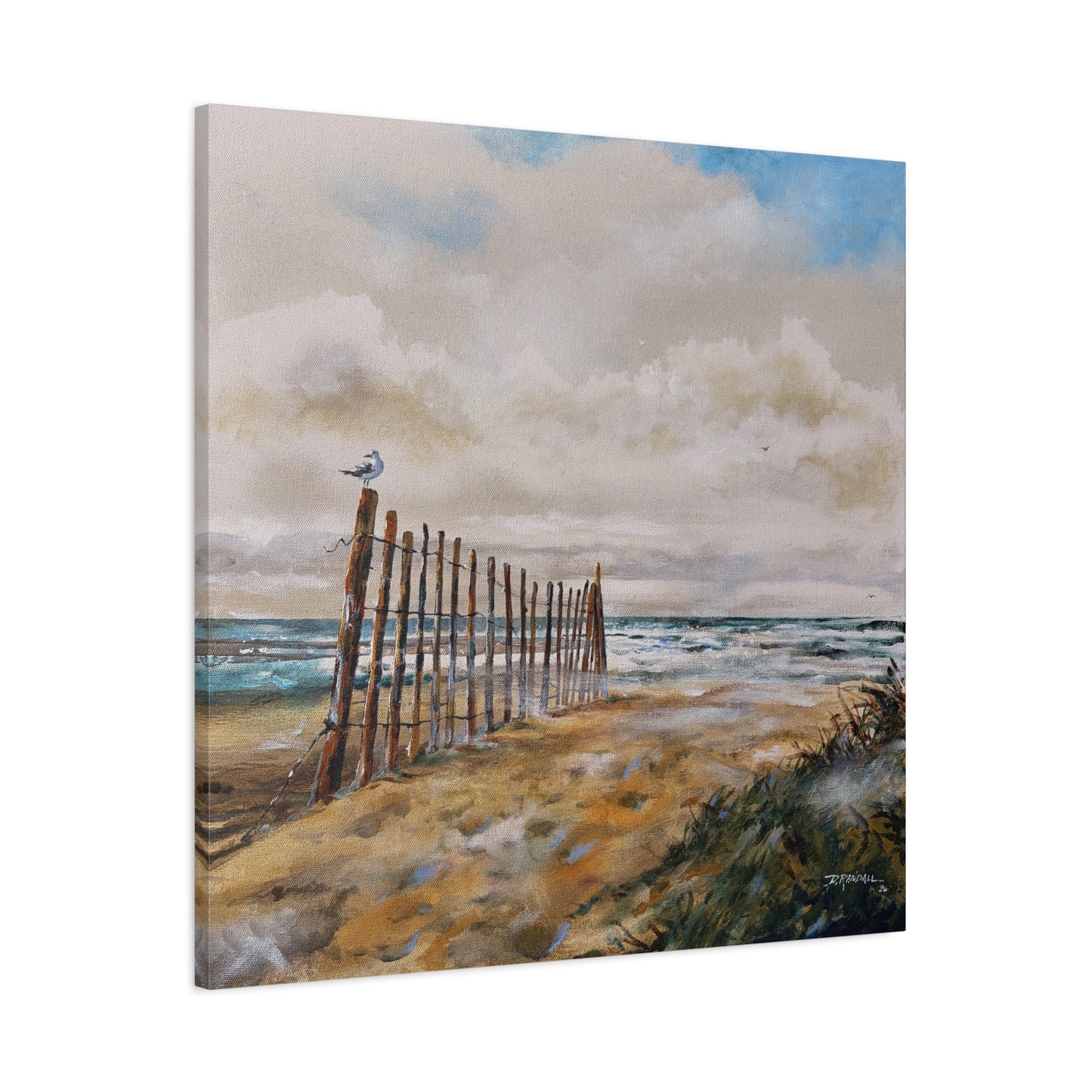 "After The Rain" Outer Banks
