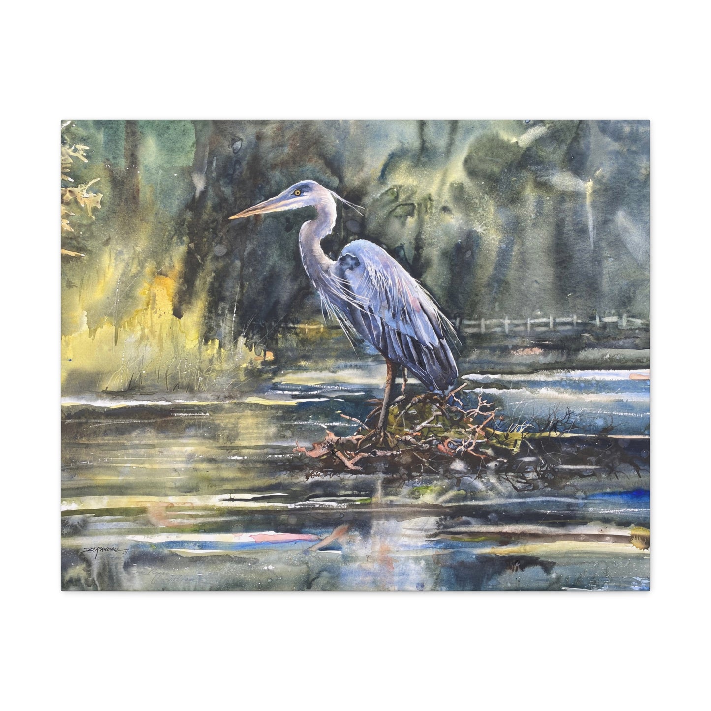 "GEORGE" Great Blue Heron