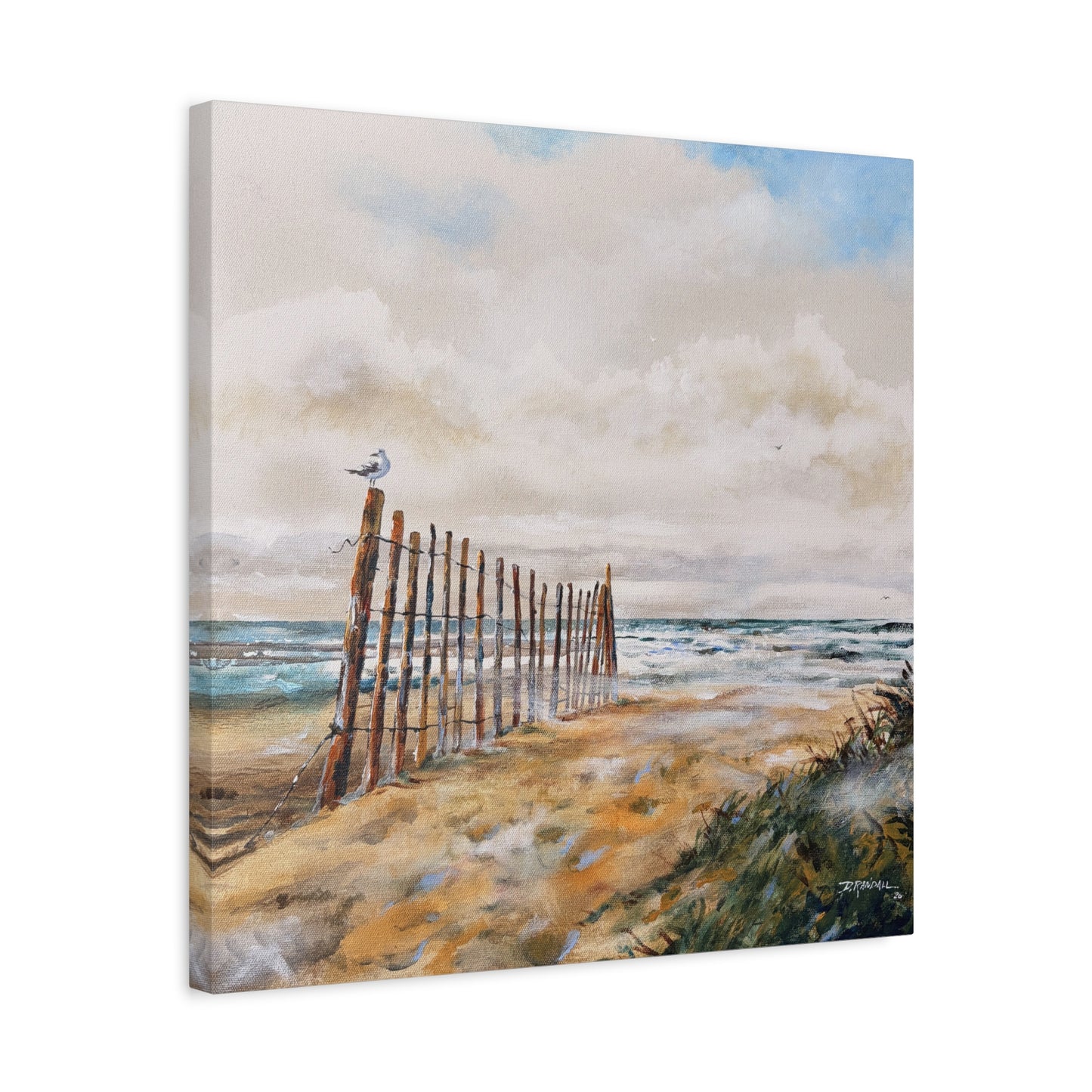 "After The Rain" Outer Banks