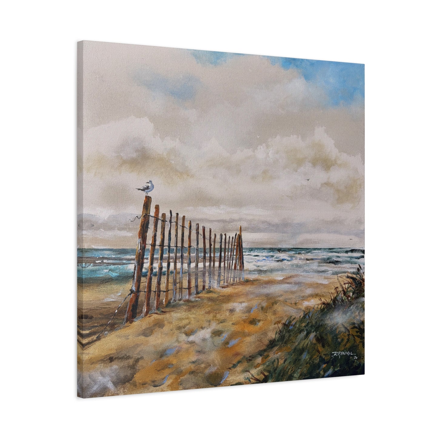 "After The Rain" Outer Banks