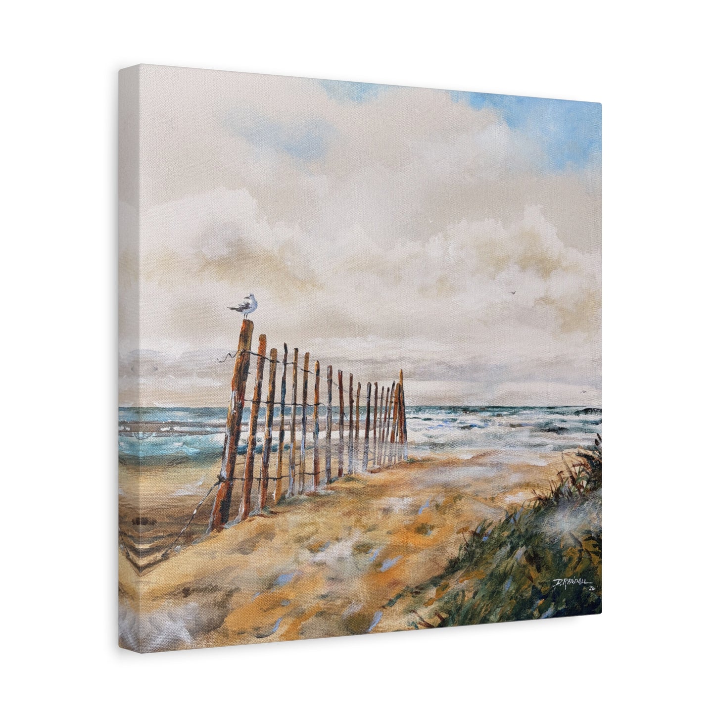 "After The Rain" Outer Banks